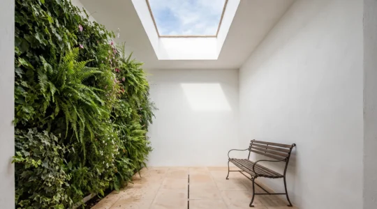 Patio interior de un edificio residencial transformado en un espacio luminoso con jardín vertical y paredes blancas reflectantes